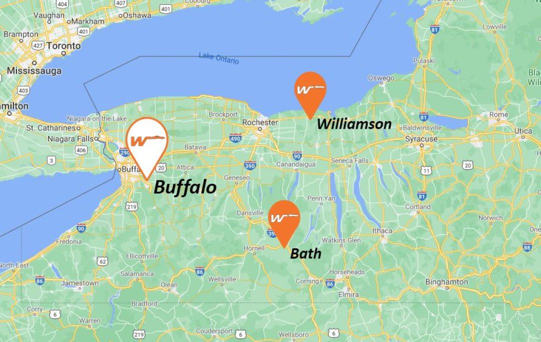 wilberts-buffalo